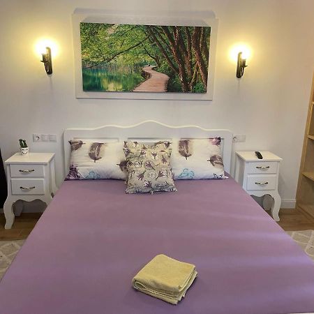 באיה מארה Apartament Gabriela 39 מראה חיצוני תמונה