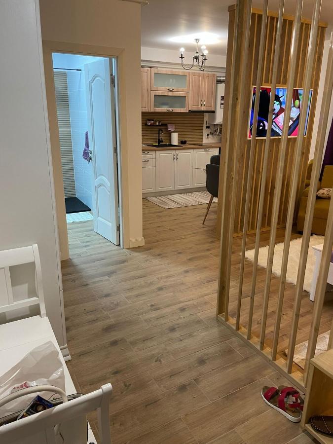 באיה מארה Apartament Gabriela 39 מראה חיצוני תמונה