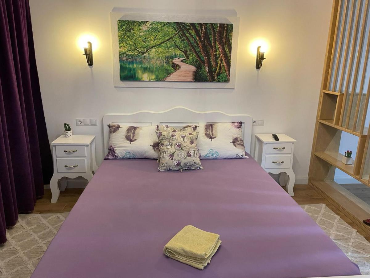 באיה מארה Apartament Gabriela 39 מראה חיצוני תמונה
