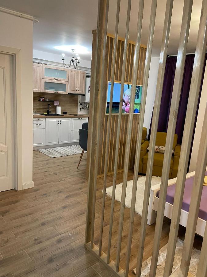 באיה מארה Apartament Gabriela 39 מראה חיצוני תמונה