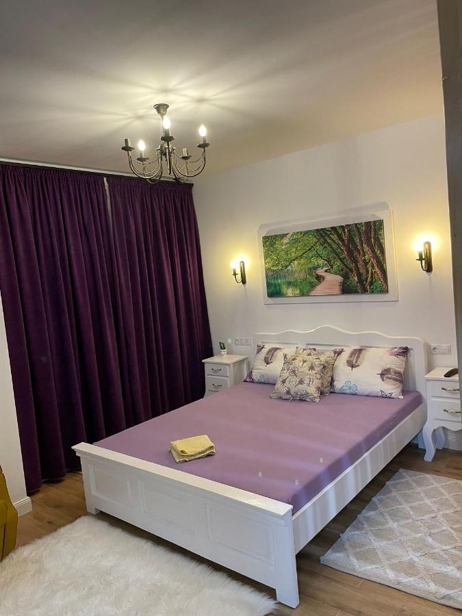 באיה מארה Apartament Gabriela 39 מראה חיצוני תמונה
