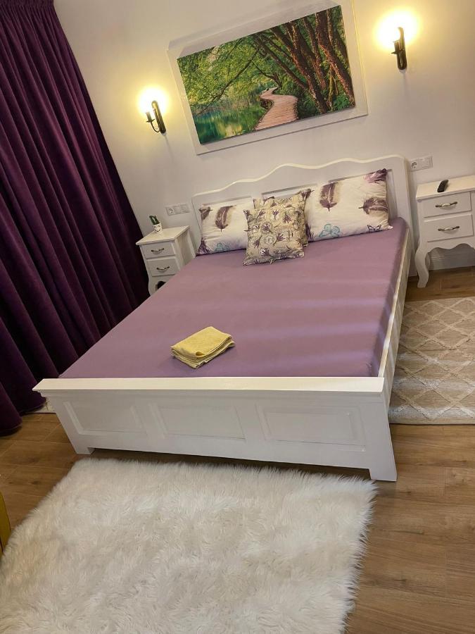 באיה מארה Apartament Gabriela 39 מראה חיצוני תמונה