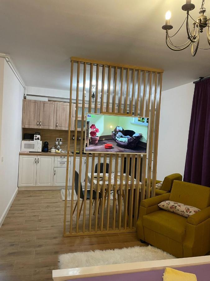 באיה מארה Apartament Gabriela 39 מראה חיצוני תמונה