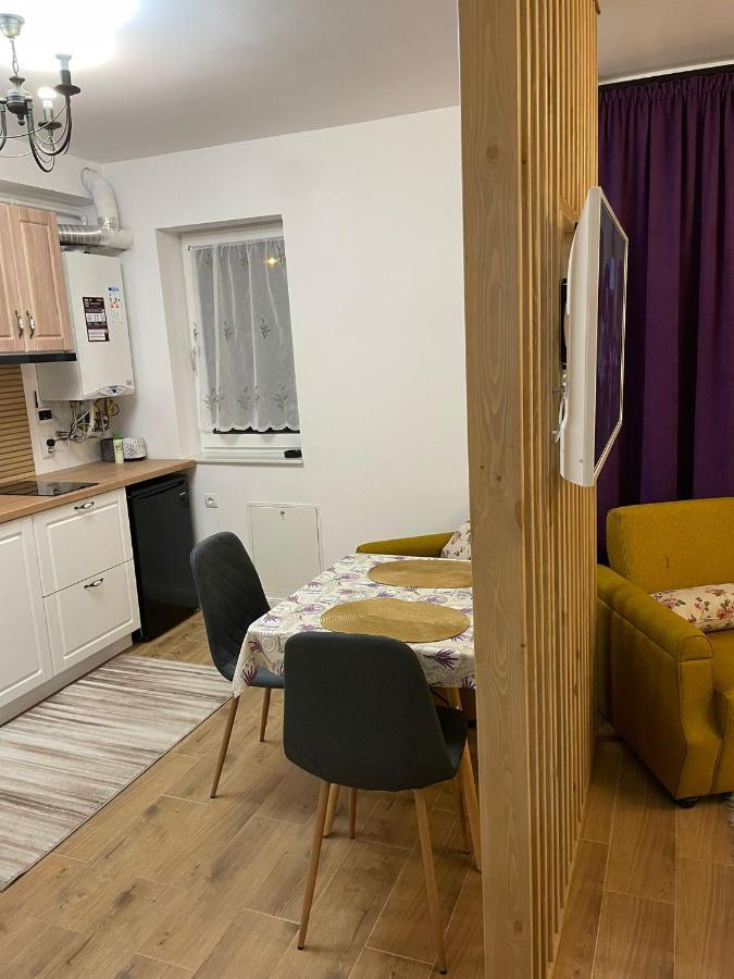 באיה מארה Apartament Gabriela 39 מראה חיצוני תמונה
