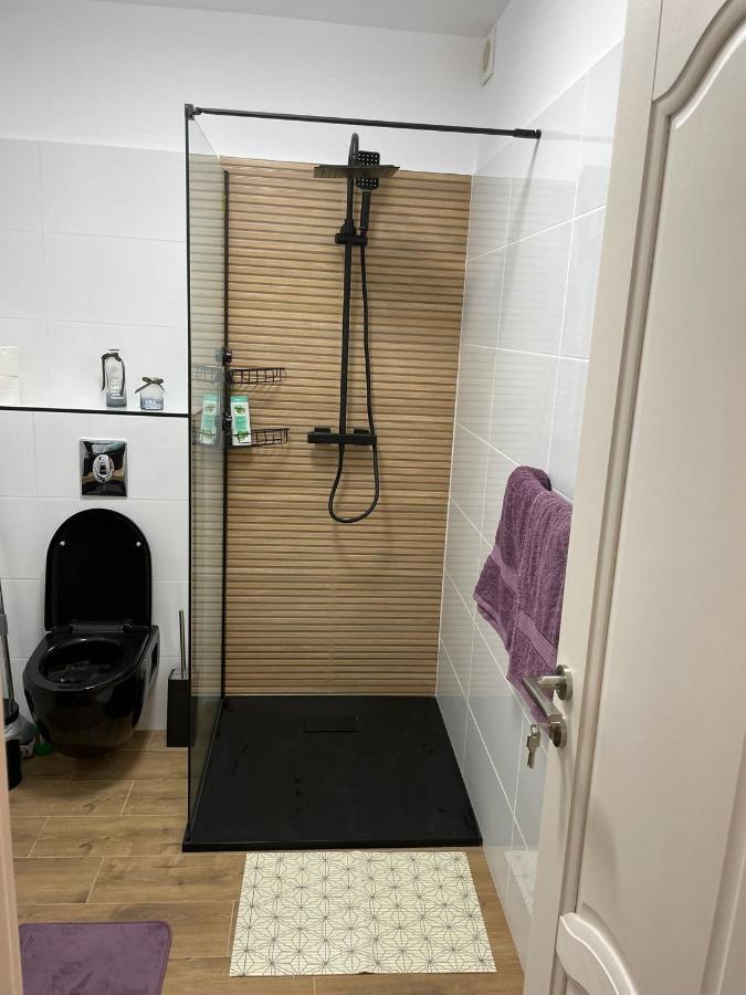באיה מארה Apartament Gabriela 39 מראה חיצוני תמונה